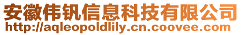 安徽偉釩信息科技有限公司