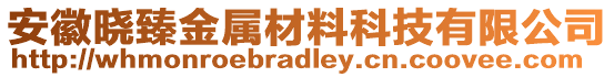 安徽曉臻金屬材料科技有限公司