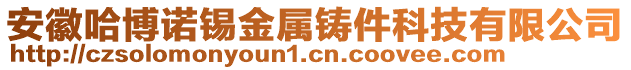 安徽哈博諾錫金屬鑄件科技有限公司