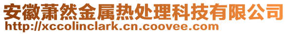 安徽蕭然金屬熱處理科技有限公司