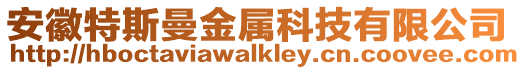 安徽特斯曼金屬科技有限公司