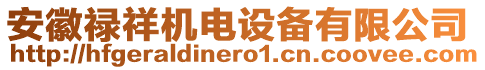 安徽祿祥機電設(shè)備有限公司