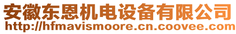 安徽東恩機(jī)電設(shè)備有限公司