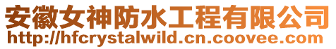 安徽女神防水工程有限公司
