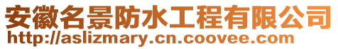 安徽名景防水工程有限公司