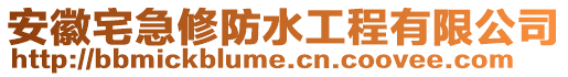 安徽宅急修防水工程有限公司