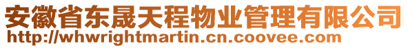 安徽省東晟天程物業(yè)管理有限公司