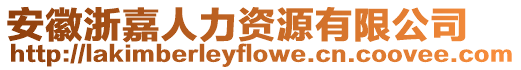 安徽浙嘉人力資源有限公司