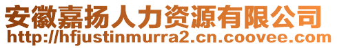 安徽嘉揚人力資源有限公司