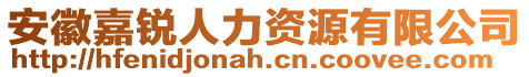 安徽嘉銳人力資源有限公司