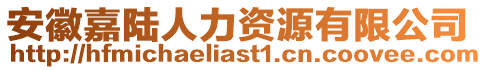 安徽嘉陸人力資源有限公司