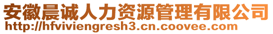 安徽晨誠人力資源管理有限公司