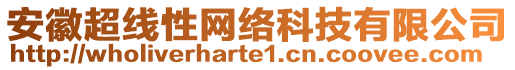 安徽超線性網(wǎng)絡(luò)科技有限公司