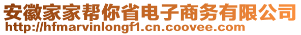 安徽家家?guī)湍闶‰娮由虅?wù)有限公司