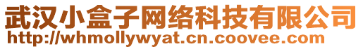 武漢小盒子網(wǎng)絡(luò)科技有限公司