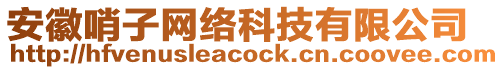 安徽哨子網(wǎng)絡(luò)科技有限公司