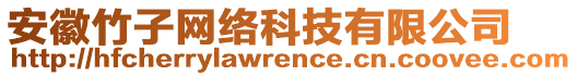 安徽竹子網(wǎng)絡(luò)科技有限公司