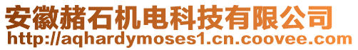 安徽赭石機電科技有限公司