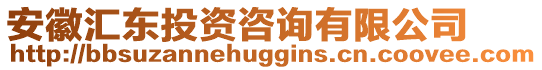 安徽匯東投資咨詢有限公司