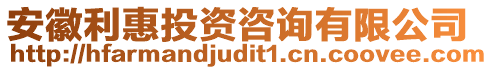 安徽利惠投資咨詢有限公司