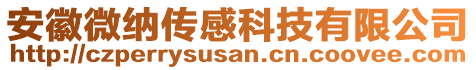 安徽微納傳感科技有限公司