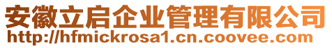 安徽立啟企業(yè)管理有限公司