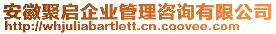 安徽聚啟企業(yè)管理咨詢有限公司