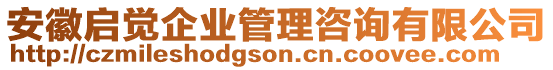 安徽啟覺(jué)企業(yè)管理咨詢(xún)有限公司