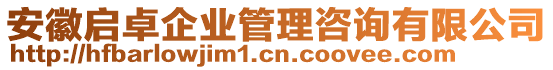 安徽啟卓企業(yè)管理咨詢有限公司