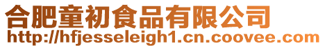 合肥童初食品有限公司
