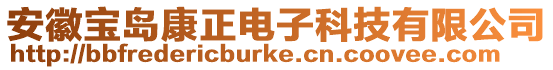 安徽寶島康正電子科技有限公司