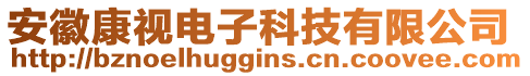 安徽康視電子科技有限公司