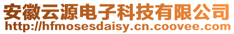 安徽云源電子科技有限公司
