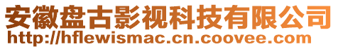 安徽盤古影視科技有限公司