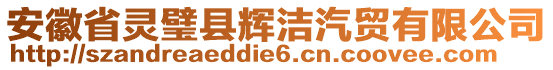 安徽省靈璧縣輝潔汽貿(mào)有限公司