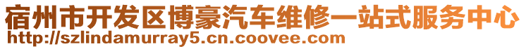 宿州市開發(fā)區(qū)博豪汽車維修一站式服務(wù)中心