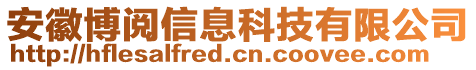 安徽博閱信息科技有限公司