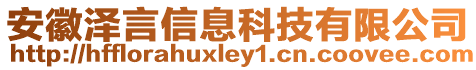 安徽澤言信息科技有限公司