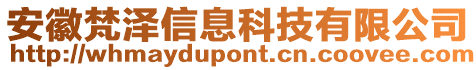 安徽梵澤信息科技有限公司