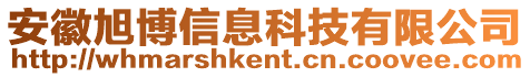 安徽旭博信息科技有限公司