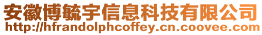 安徽博毓宇信息科技有限公司