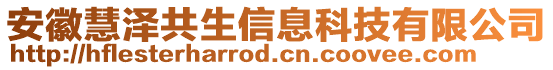 安徽慧澤共生信息科技有限公司