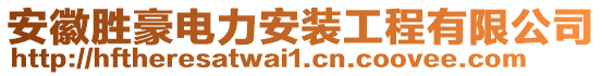 安徽勝豪電力安裝工程有限公司