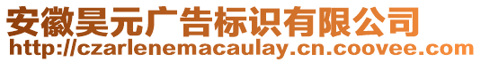 安徽昊元廣告標(biāo)識(shí)有限公司