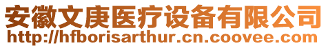 安徽文庚醫(yī)療設備有限公司