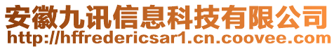 安徽九訊信息科技有限公司