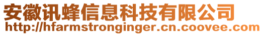 安徽訊蜂信息科技有限公司