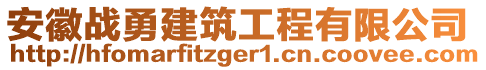 安徽戰(zhàn)勇建筑工程有限公司