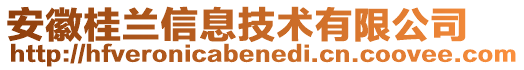 安徽桂蘭信息技術(shù)有限公司