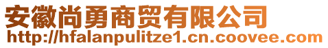 安徽尚勇商貿(mào)有限公司